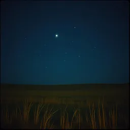 Звёзды зажглись так ярко