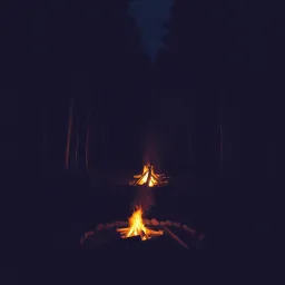 The Fires of The Night