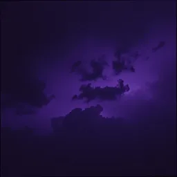 Shadows of the Forbidden