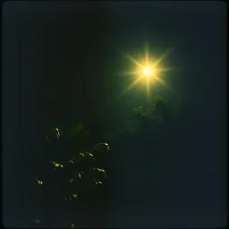 Silma, My Guiding Light