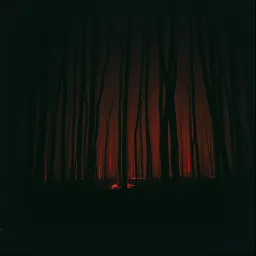 Faith on Fire