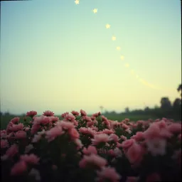 Любовь мамы