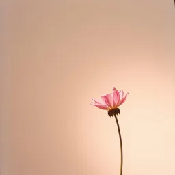 爱你是错吗？
