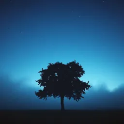 My own little world