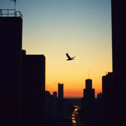 Entre ombres et lumières