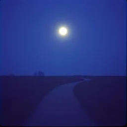 이별의 그림자 (Shadows of Goodbye)