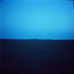 Indigo