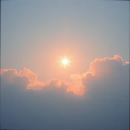 Mon Petit Bout