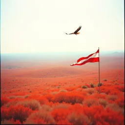 America's Heartbeat
