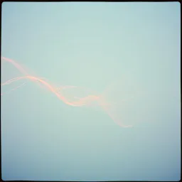 Hikari