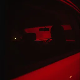 Backseat Confessions