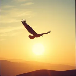 Wings of Freedom