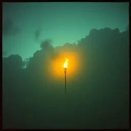 For Charlie
