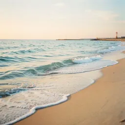 Safe by the Shore