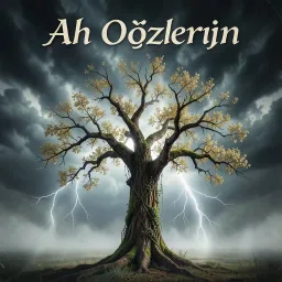 Ah O Gözlerin