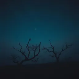 Lost in the Abyss