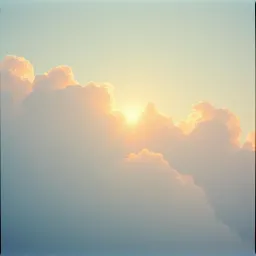 Purpose in the Sky