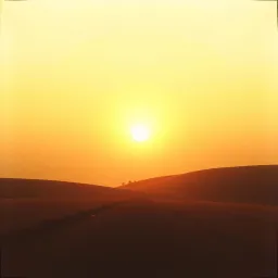 kwandwofoɔ kɔ