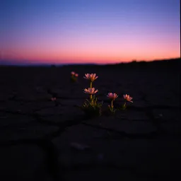 Everything I Am (For You)