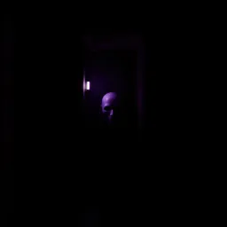 Knock Knock (Caught)