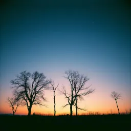 Shadows of the heart