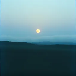 Moonlight Reverie