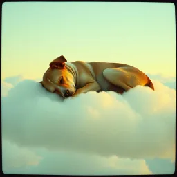 Dogs Don't Die