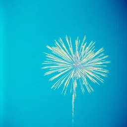 Ellis Kai (Little Firecracker)