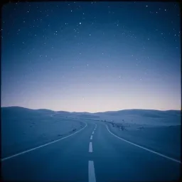 The road