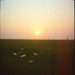 New every morning