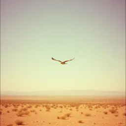 Se Fue De Mi