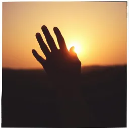 Shadows in My Hands