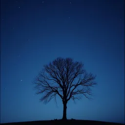 Love Left Behind
