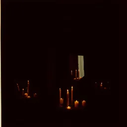 Echoes of the Last Waltz