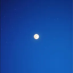 LESHA GOOGLE - looks like the moon