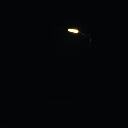Black Out Paradise