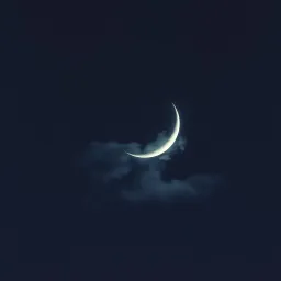 Late Night Lies