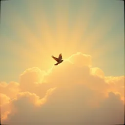 Life in Heaven Cry Love