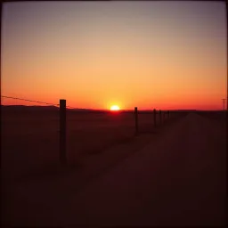 Blood in the Dust