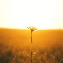 Love lives beyond