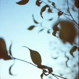 Colors Fading