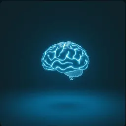 Self Aware