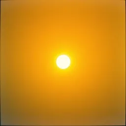 In the Shadow of His Light