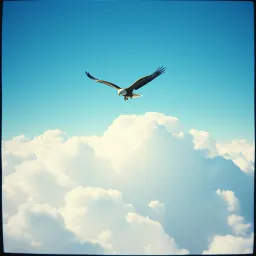 I want to fly endlessly