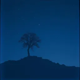Alone