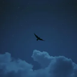 Fade Into the Sky