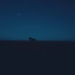 Horse Over Heat