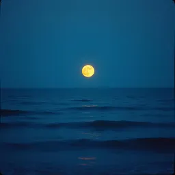 Tú eres mi luna