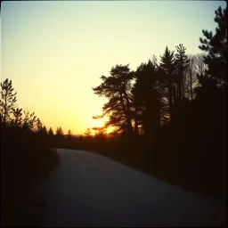 The Driveway