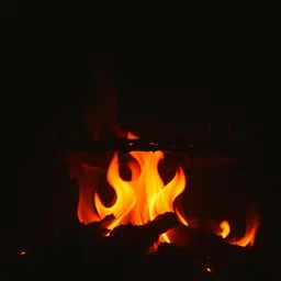 The devil